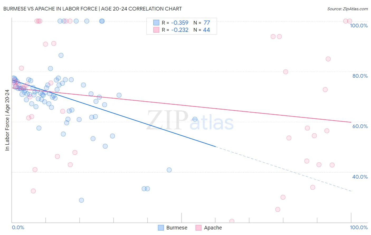 Burmese vs Apache In Labor Force | Age 20-24