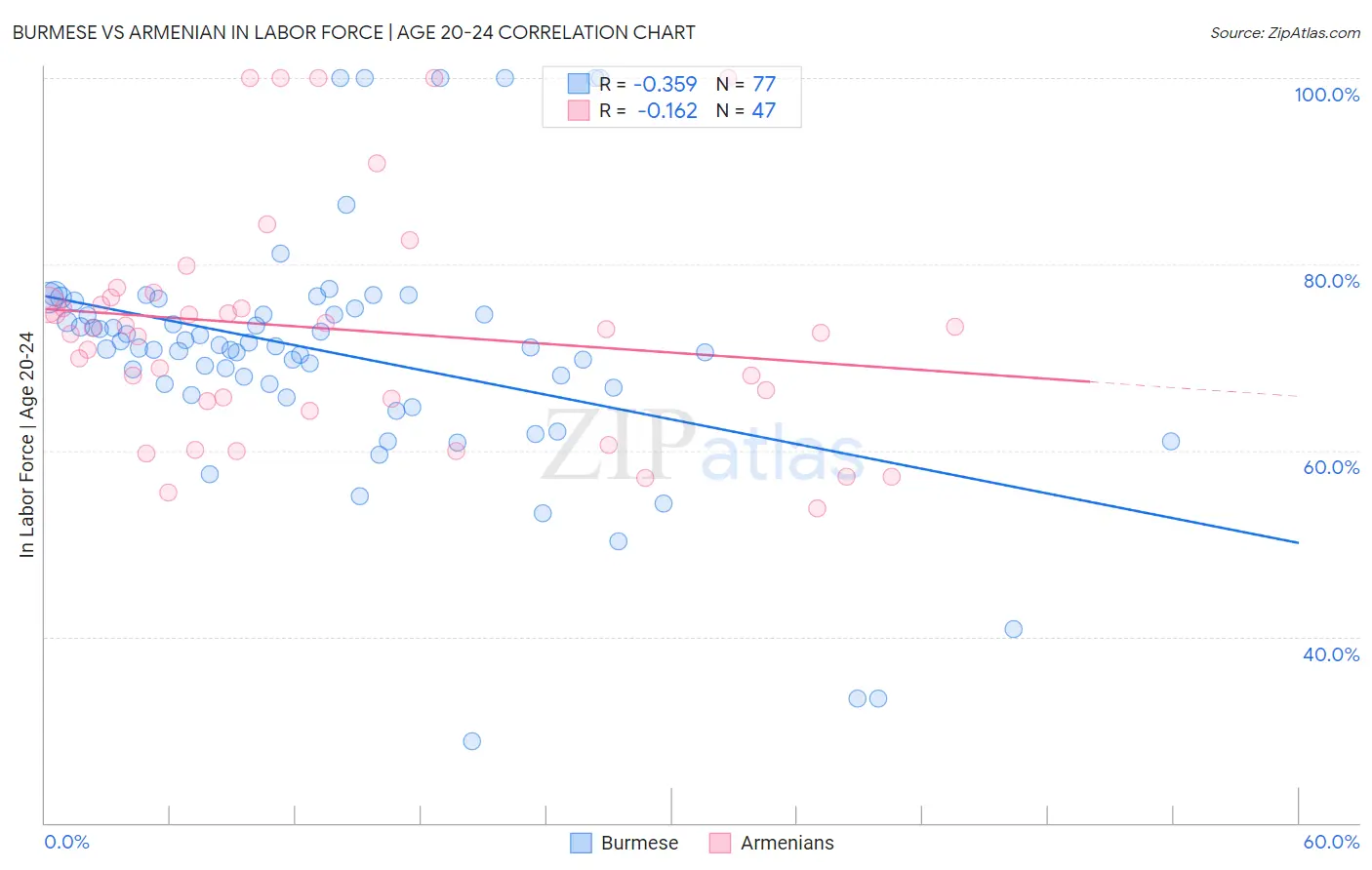 Burmese vs Armenian In Labor Force | Age 20-24