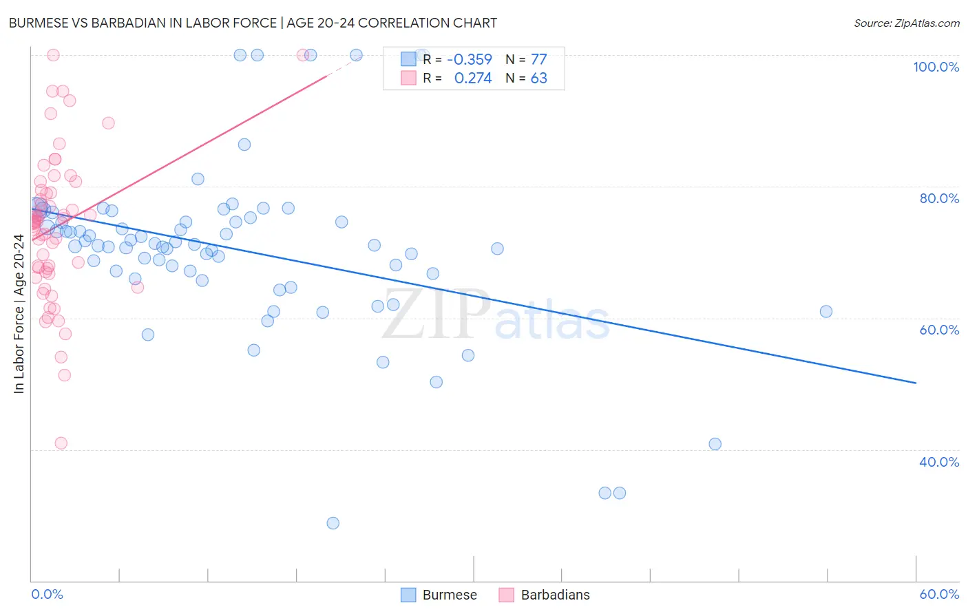 Burmese vs Barbadian In Labor Force | Age 20-24