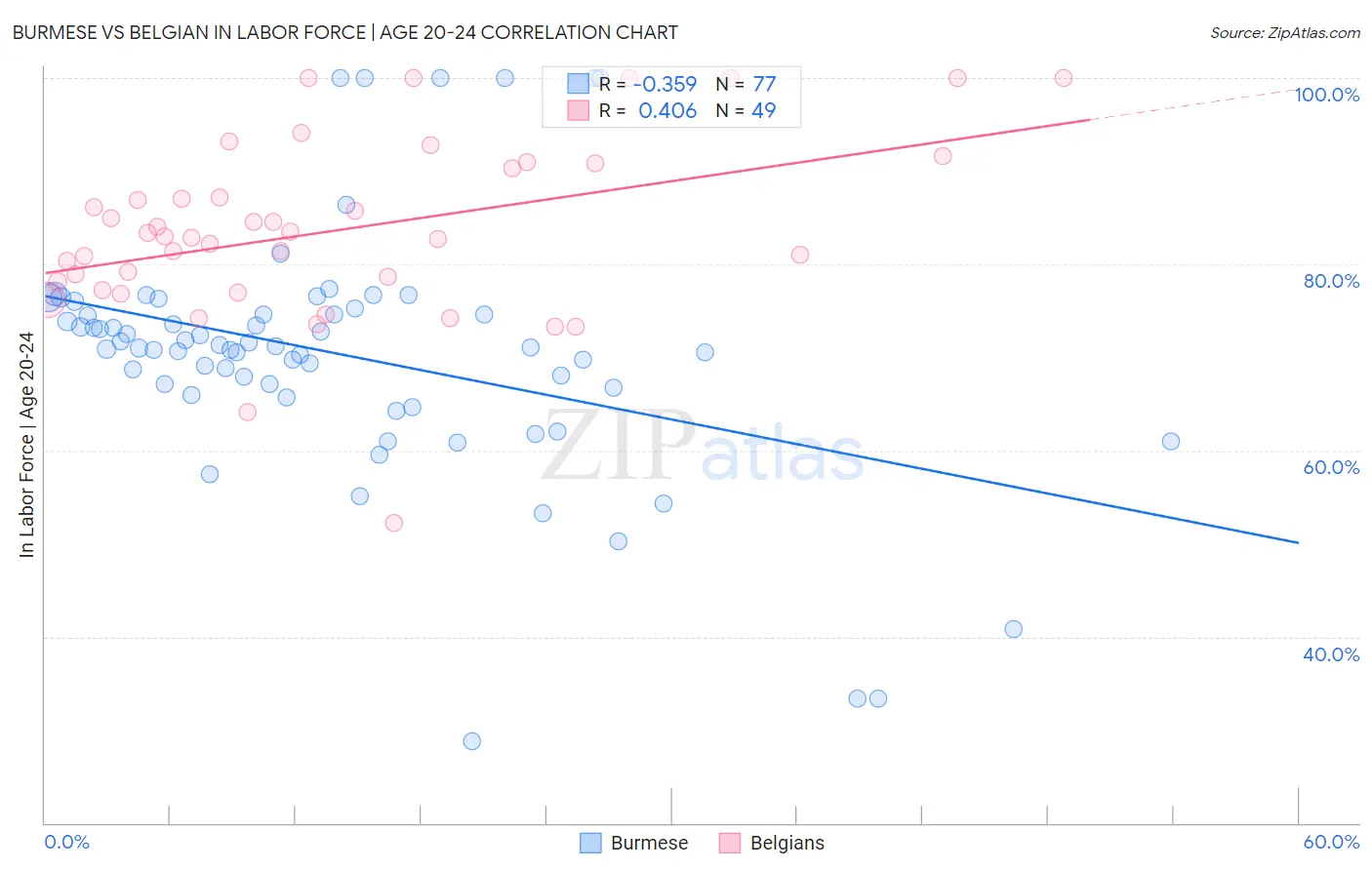 Burmese vs Belgian In Labor Force | Age 20-24