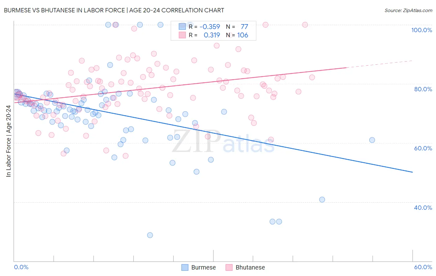 Burmese vs Bhutanese In Labor Force | Age 20-24