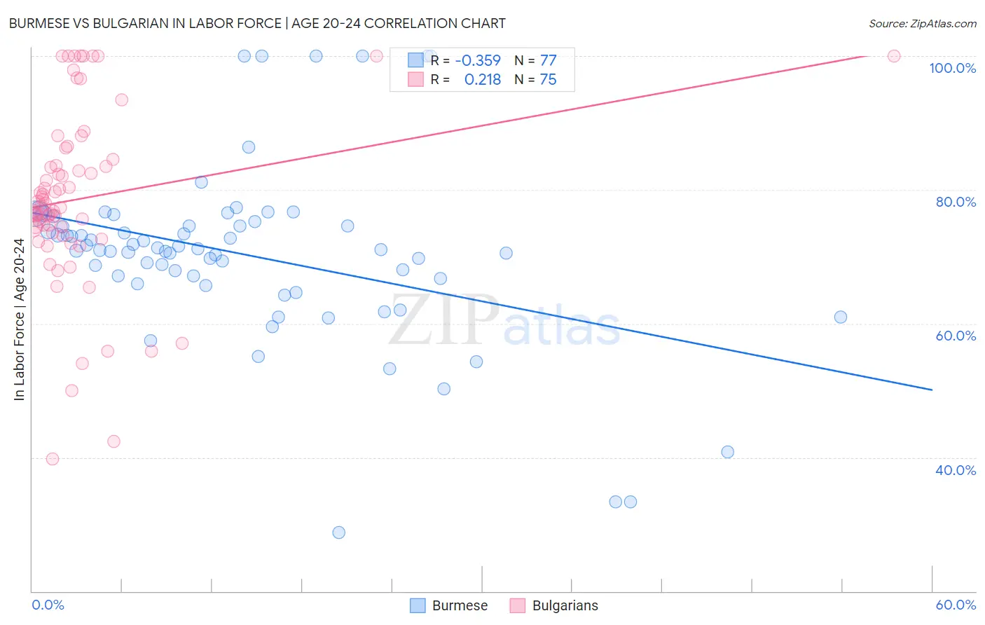 Burmese vs Bulgarian In Labor Force | Age 20-24
