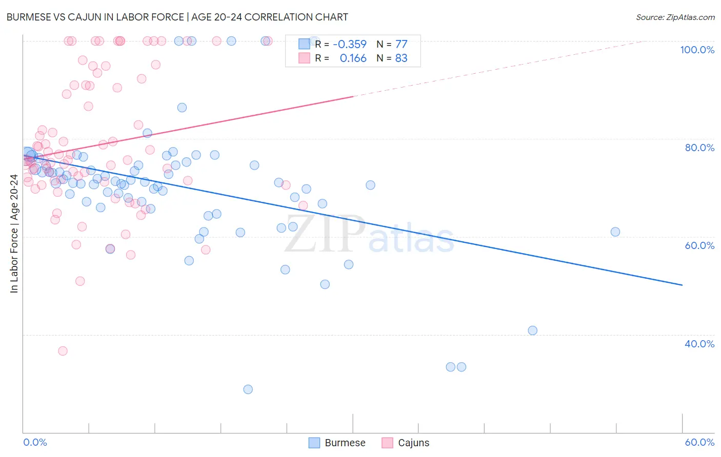 Burmese vs Cajun In Labor Force | Age 20-24