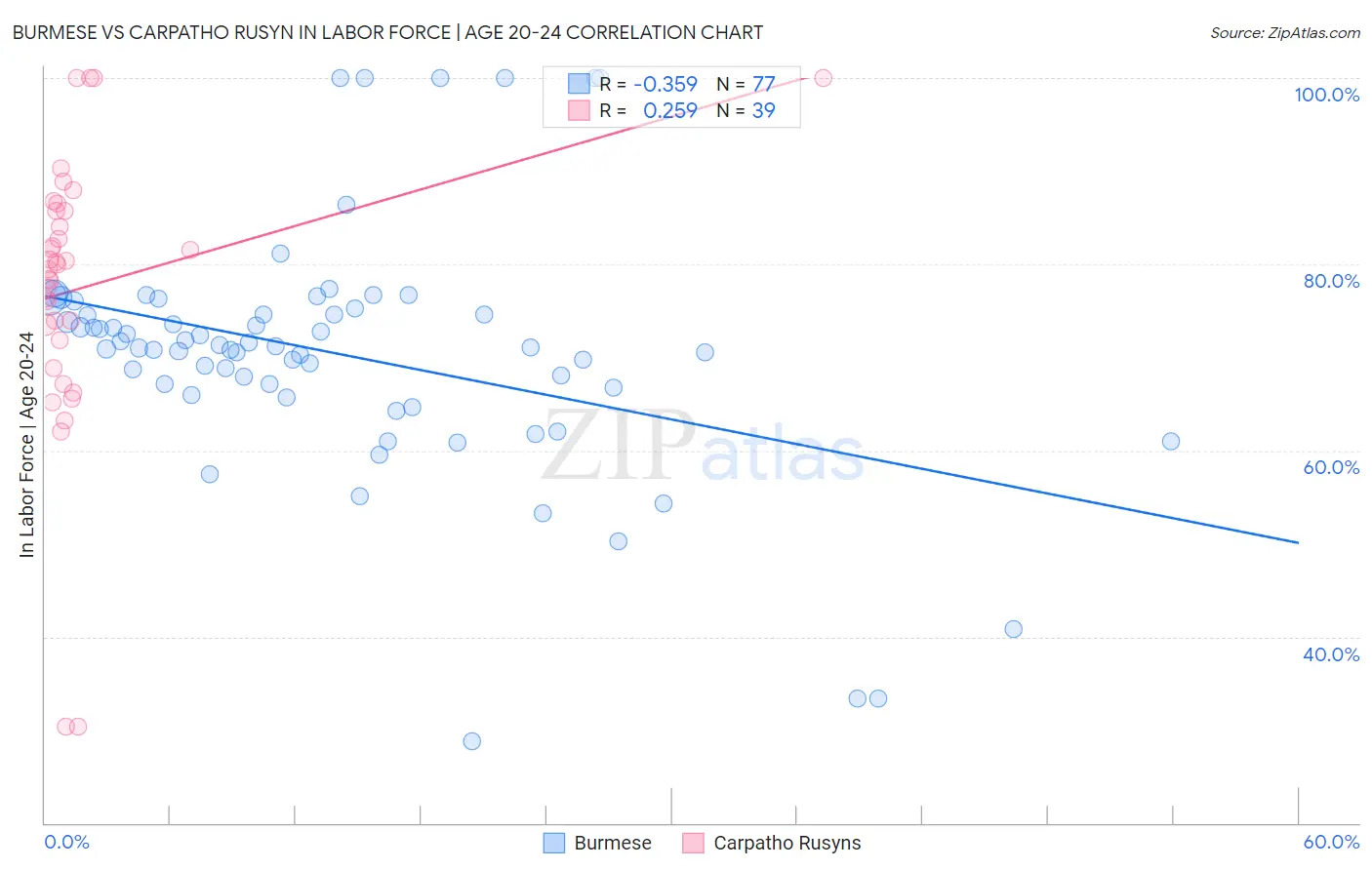 Burmese vs Carpatho Rusyn In Labor Force | Age 20-24
