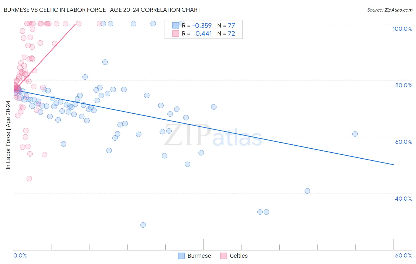 Burmese vs Celtic In Labor Force | Age 20-24