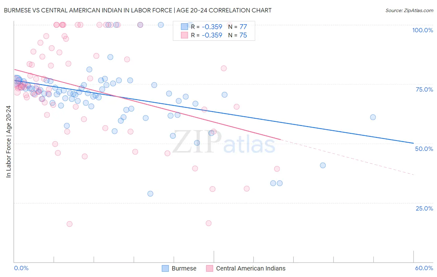 Burmese vs Central American Indian In Labor Force | Age 20-24
