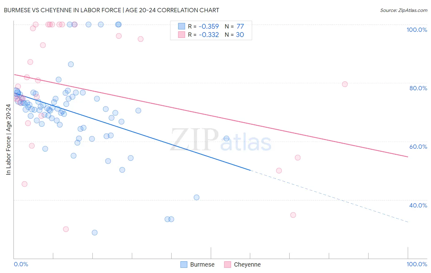 Burmese vs Cheyenne In Labor Force | Age 20-24