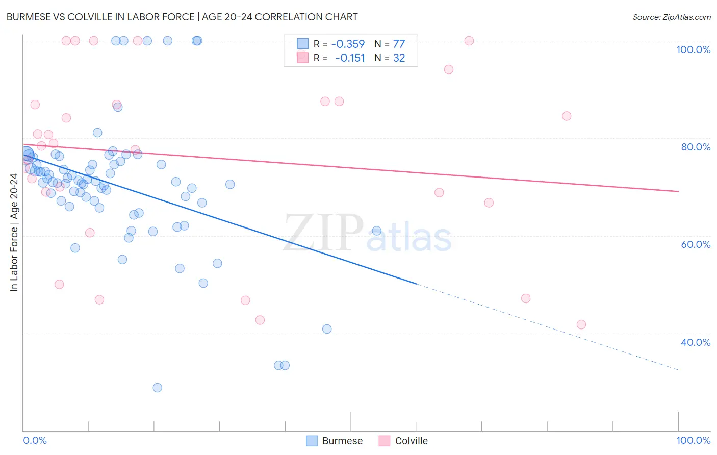 Burmese vs Colville In Labor Force | Age 20-24