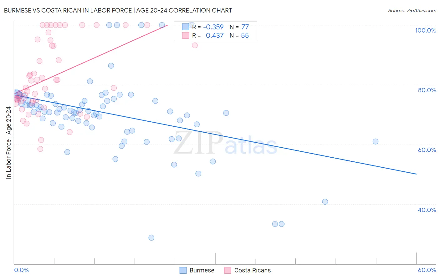 Burmese vs Costa Rican In Labor Force | Age 20-24