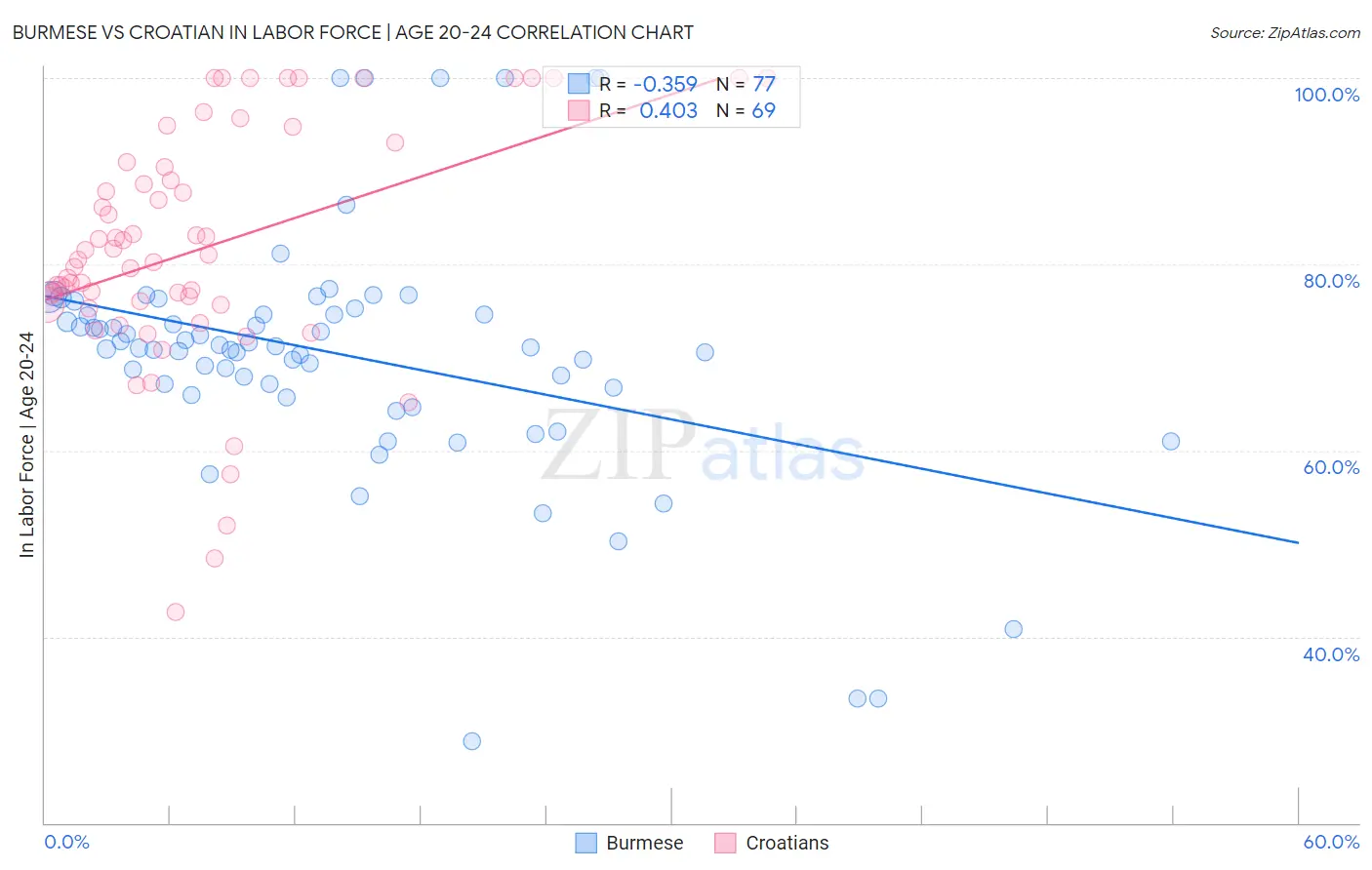 Burmese vs Croatian In Labor Force | Age 20-24