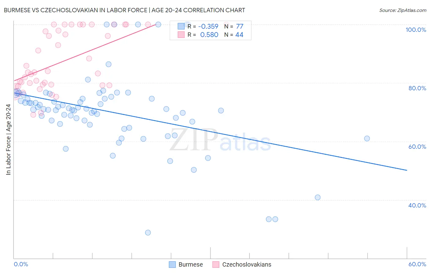 Burmese vs Czechoslovakian In Labor Force | Age 20-24