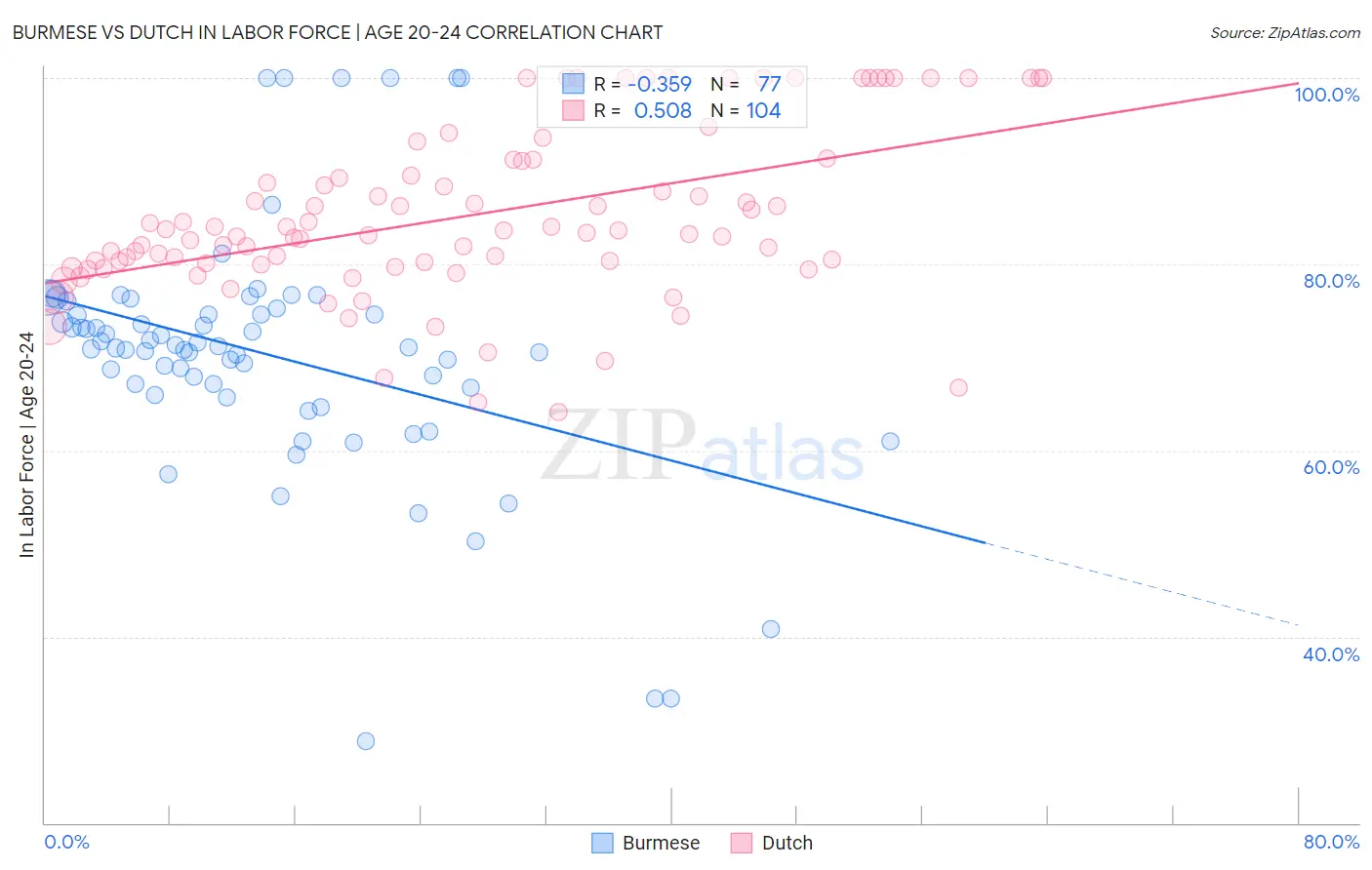 Burmese vs Dutch In Labor Force | Age 20-24