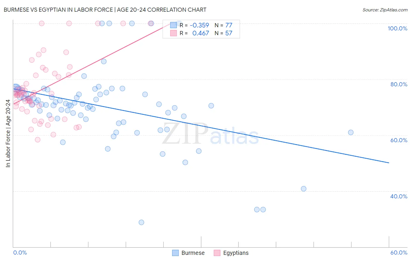 Burmese vs Egyptian In Labor Force | Age 20-24