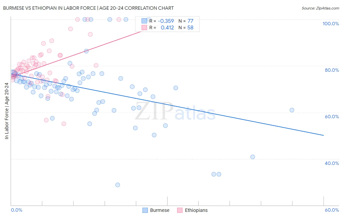 Burmese vs Ethiopian In Labor Force | Age 20-24