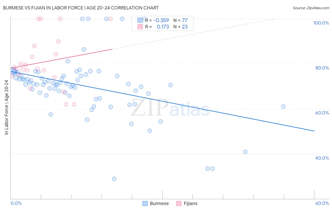 Burmese vs Fijian In Labor Force | Age 20-24