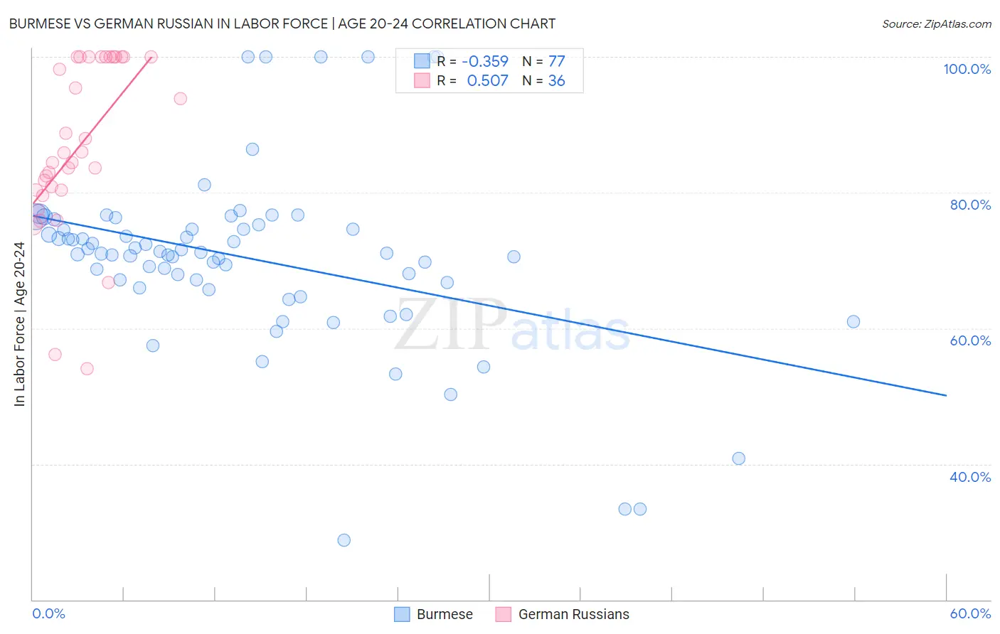Burmese vs German Russian In Labor Force | Age 20-24