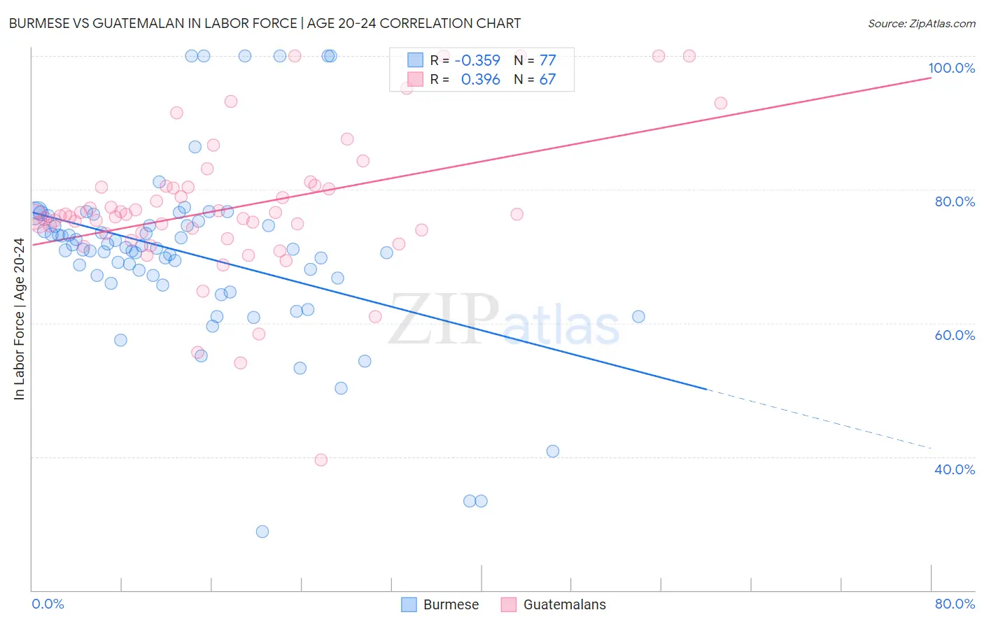 Burmese vs Guatemalan In Labor Force | Age 20-24