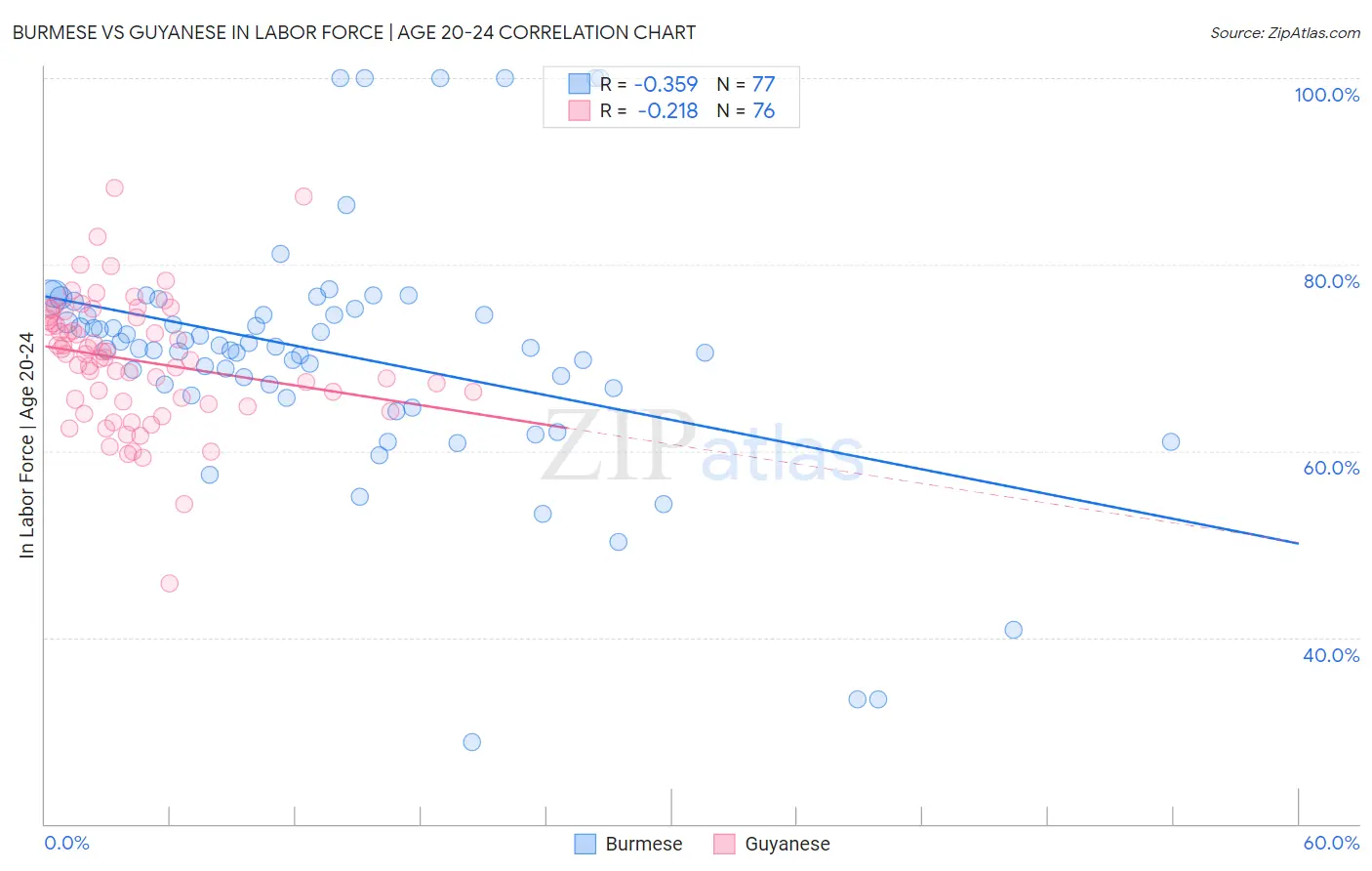 Burmese vs Guyanese In Labor Force | Age 20-24