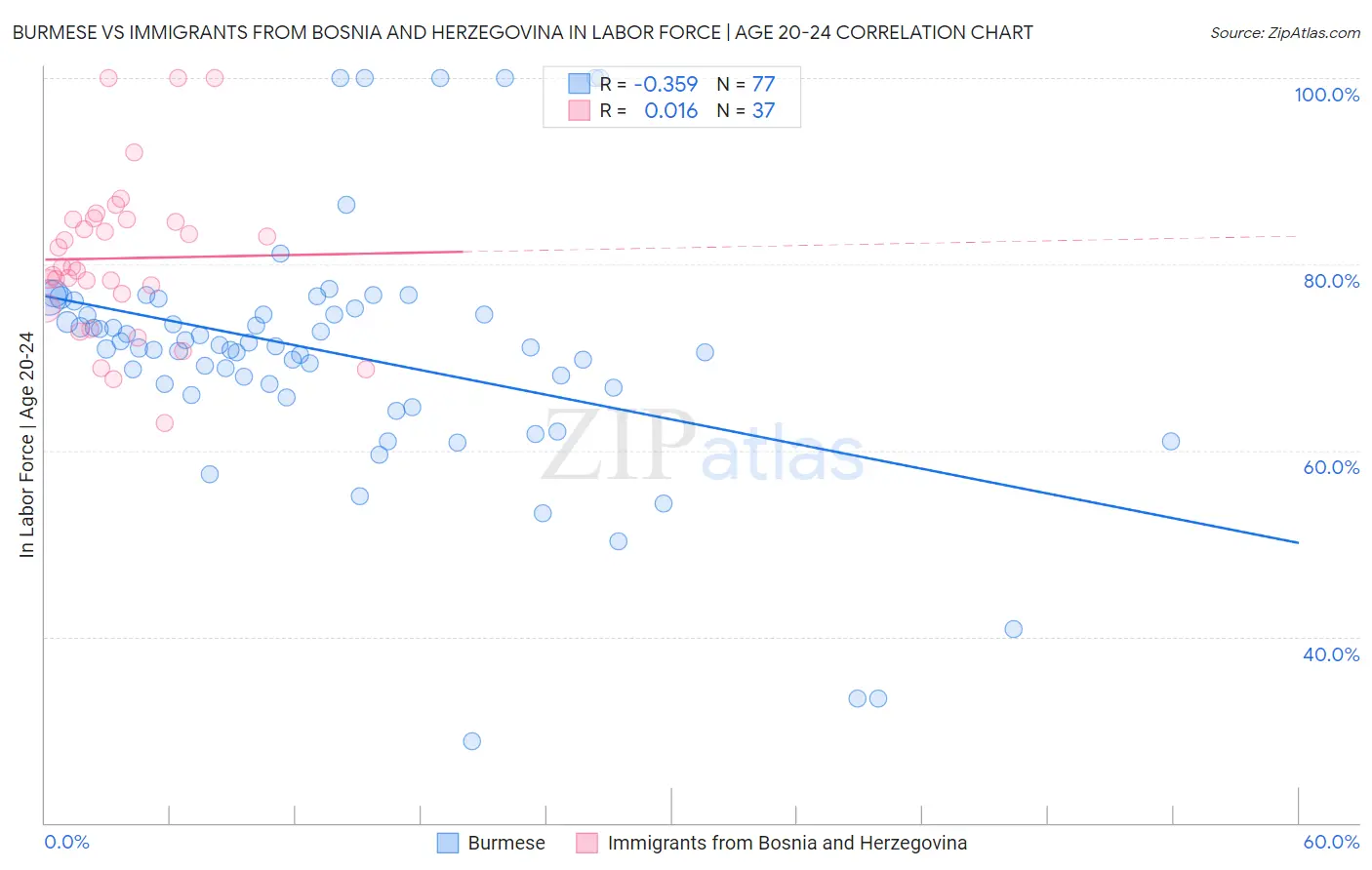 Burmese vs Immigrants from Bosnia and Herzegovina In Labor Force | Age 20-24