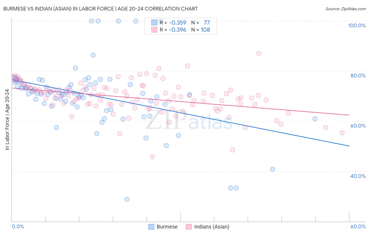 Burmese vs Indian (Asian) In Labor Force | Age 20-24