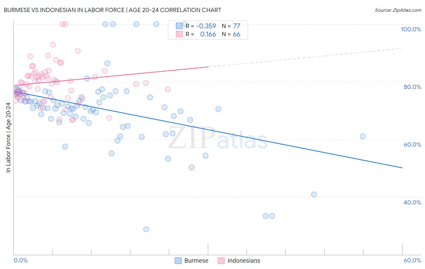 Burmese vs Indonesian In Labor Force | Age 20-24