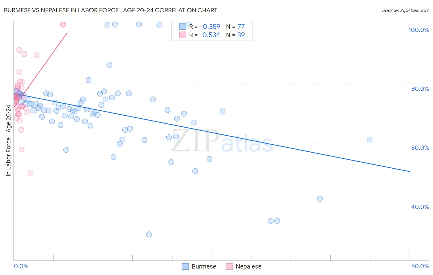 Burmese vs Nepalese In Labor Force | Age 20-24