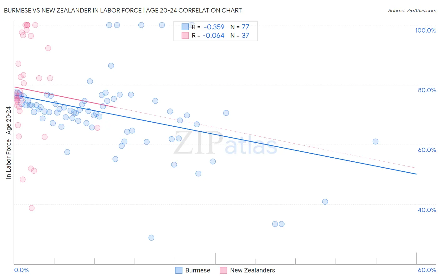 Burmese vs New Zealander In Labor Force | Age 20-24