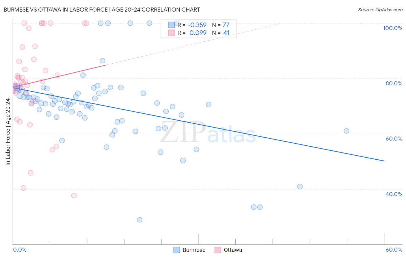 Burmese vs Ottawa In Labor Force | Age 20-24