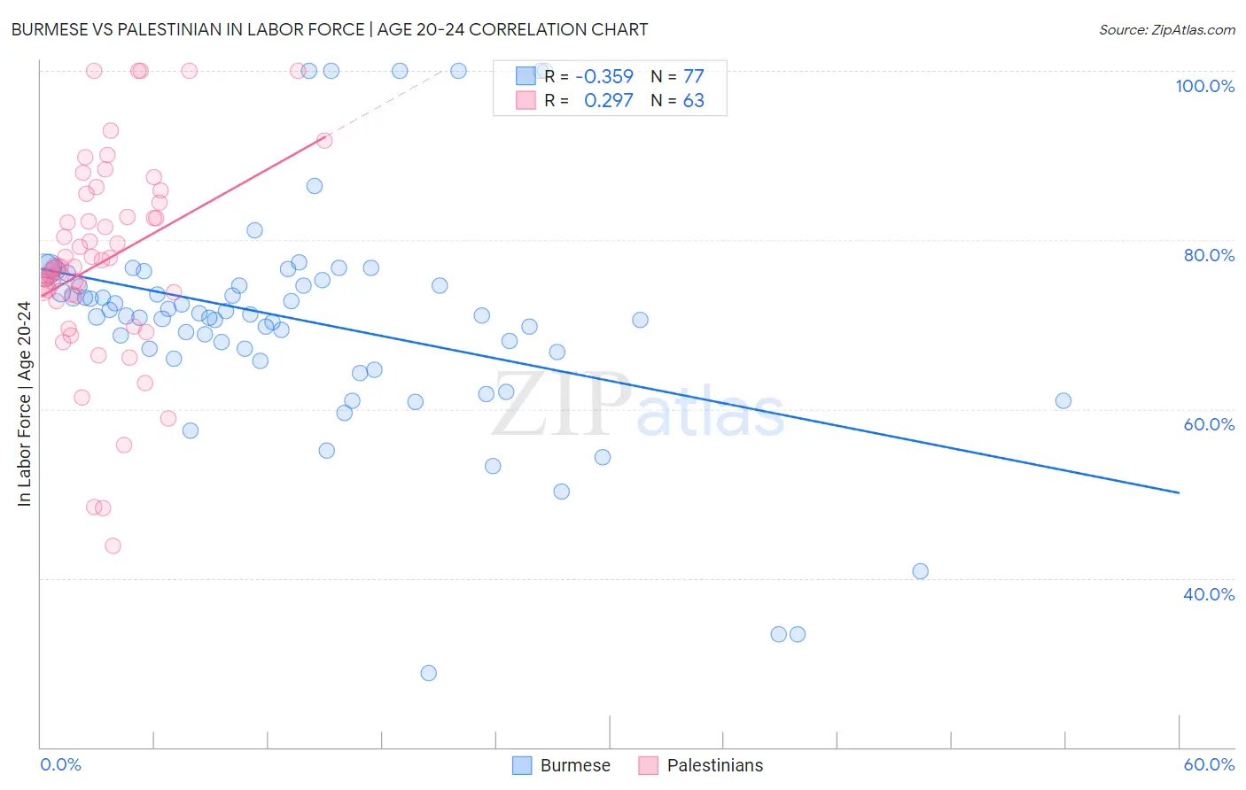 Burmese vs Palestinian In Labor Force | Age 20-24