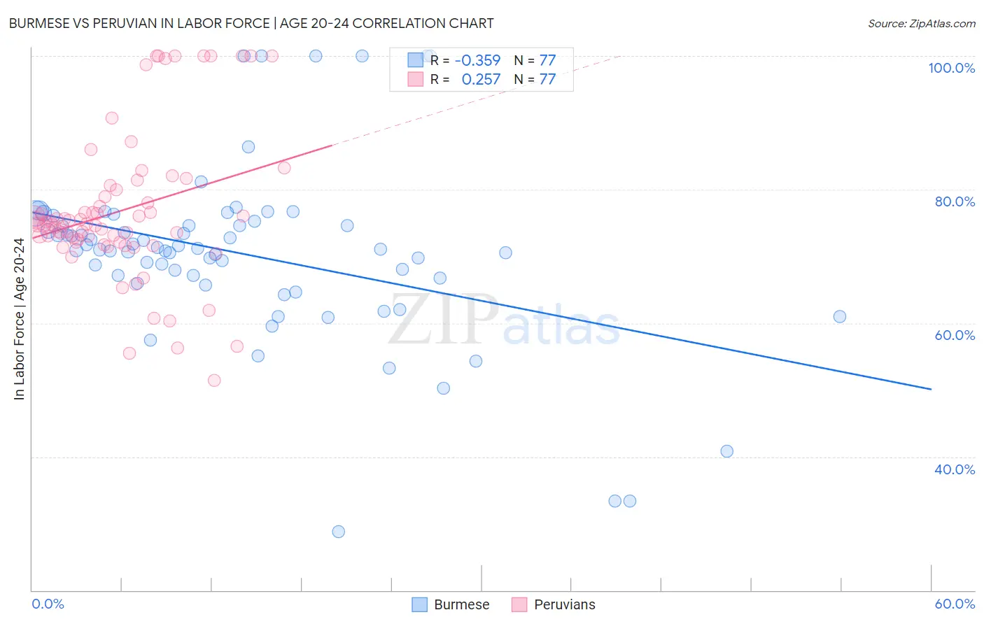 Burmese vs Peruvian In Labor Force | Age 20-24