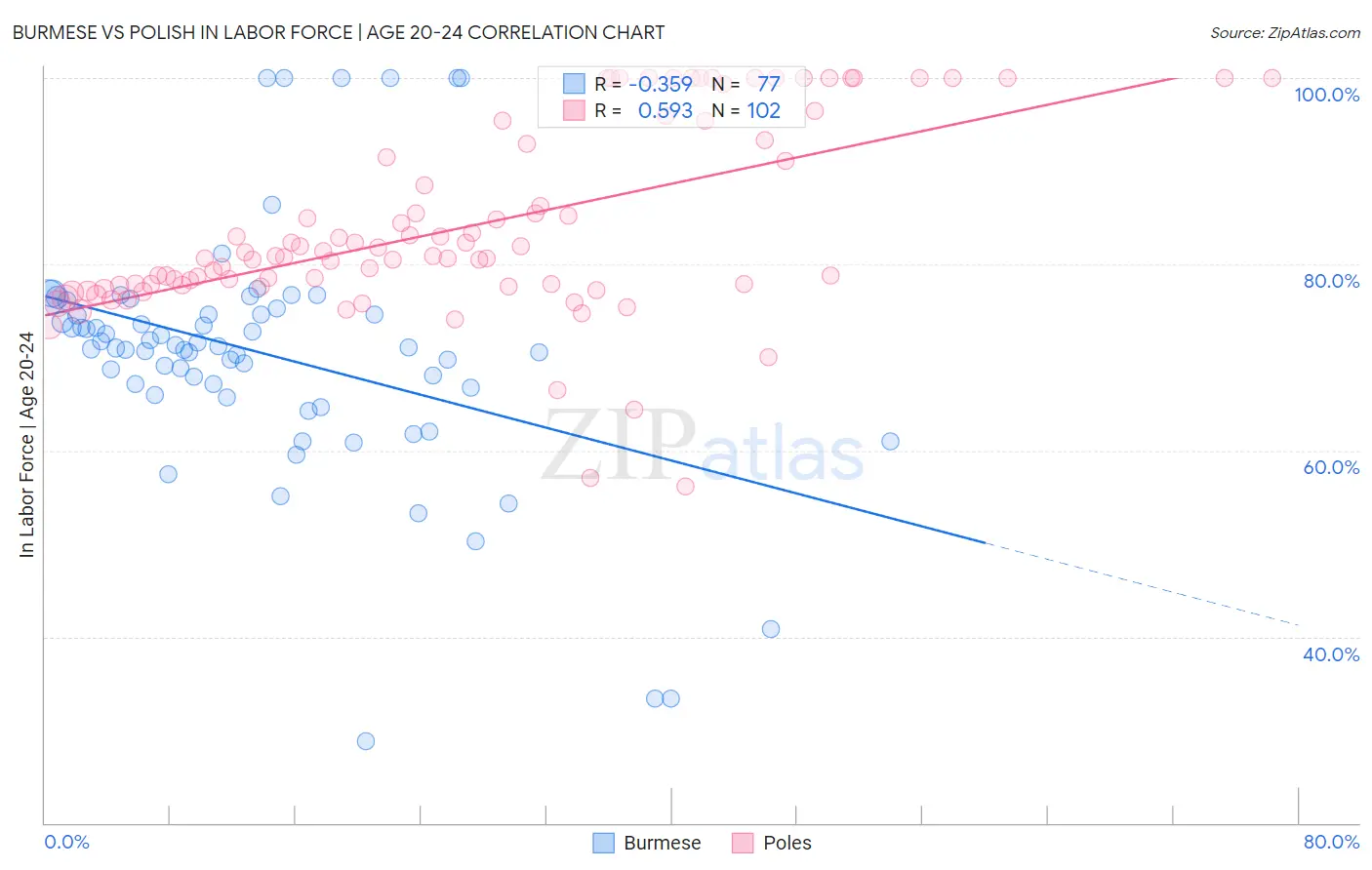 Burmese vs Polish In Labor Force | Age 20-24
