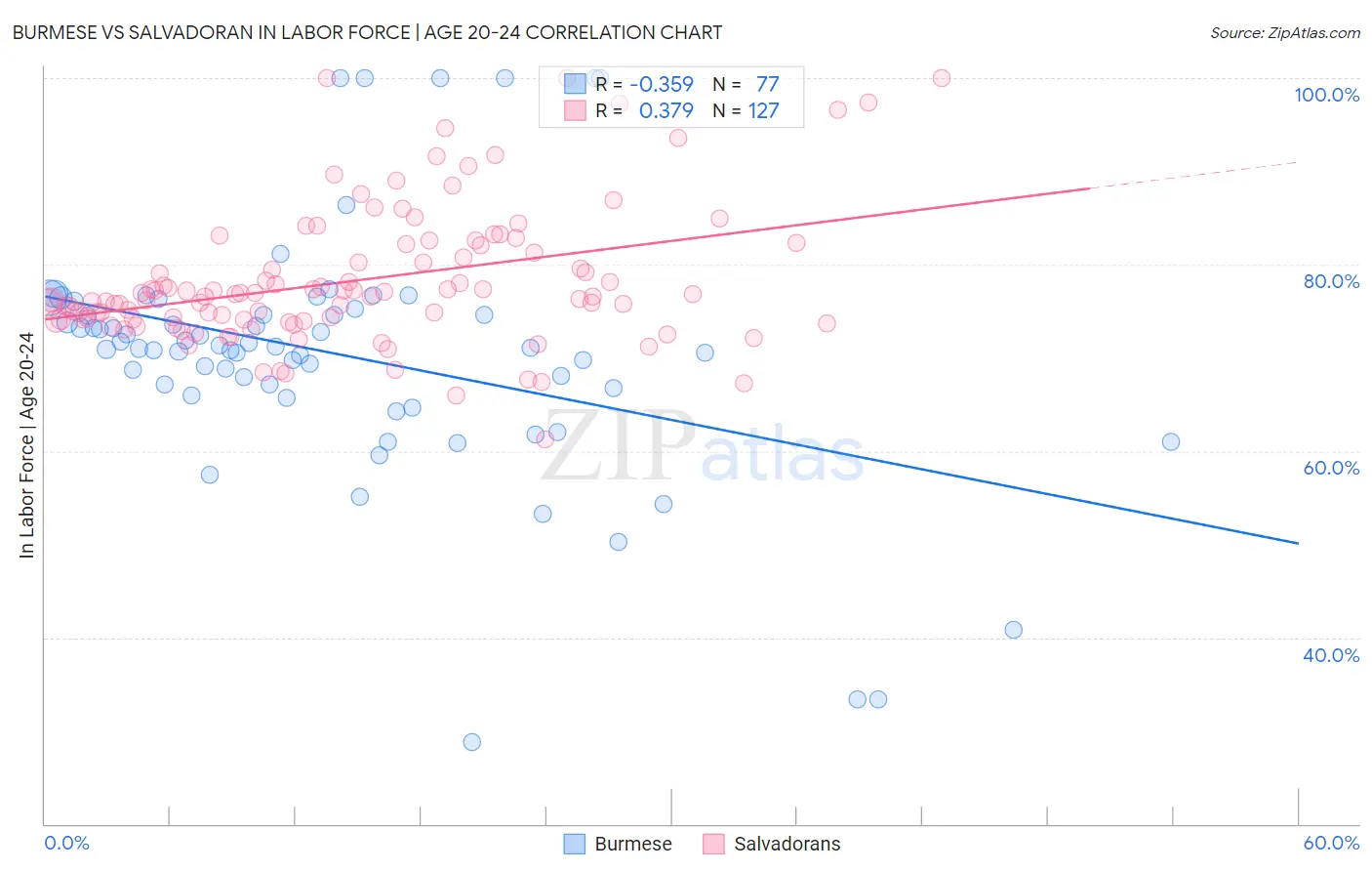 Burmese vs Salvadoran In Labor Force | Age 20-24