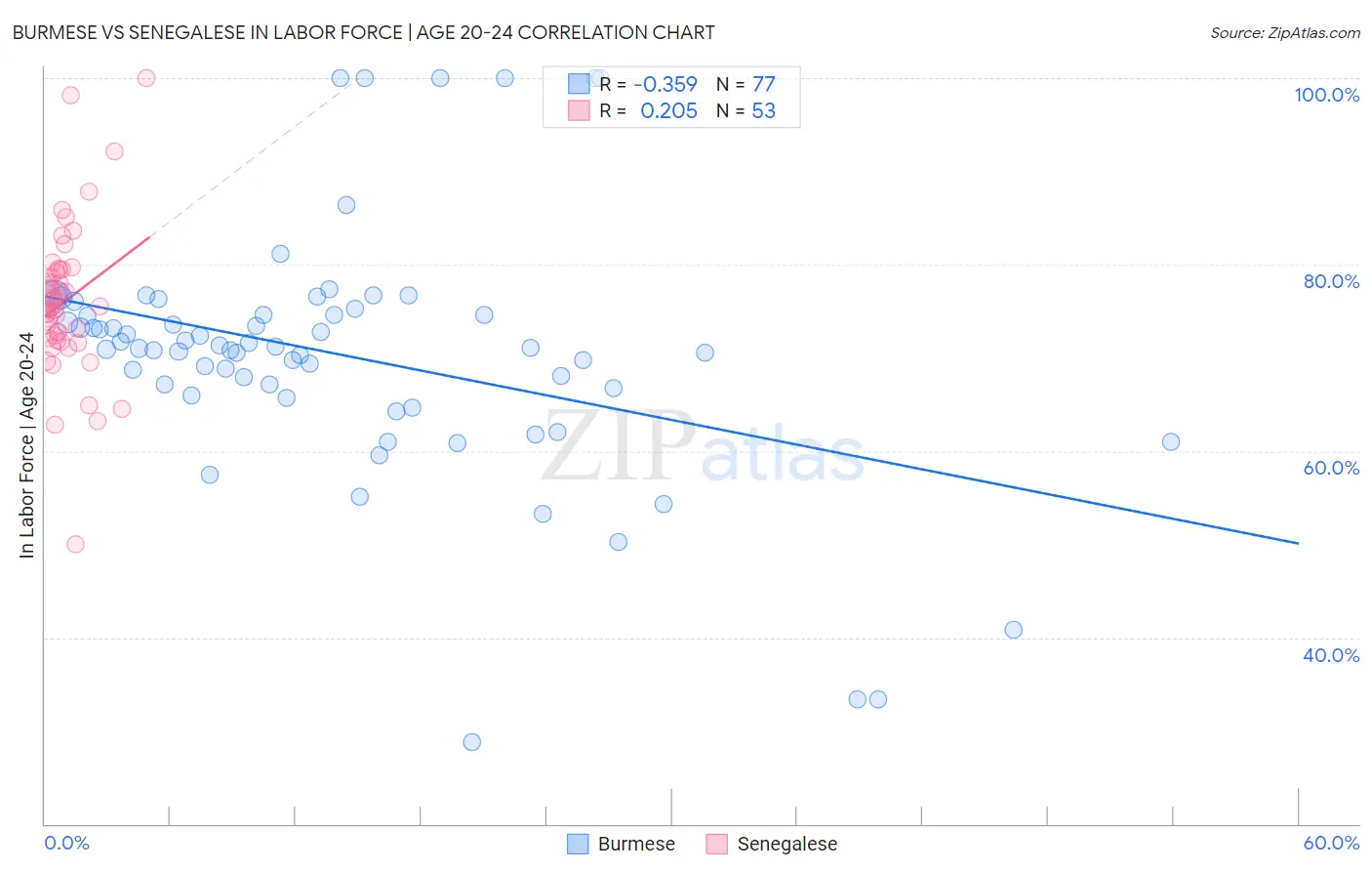 Burmese vs Senegalese In Labor Force | Age 20-24