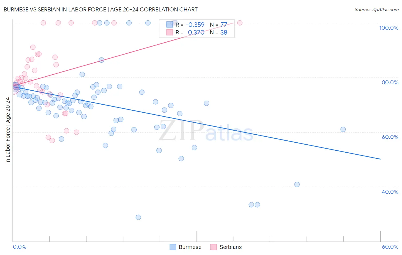 Burmese vs Serbian In Labor Force | Age 20-24