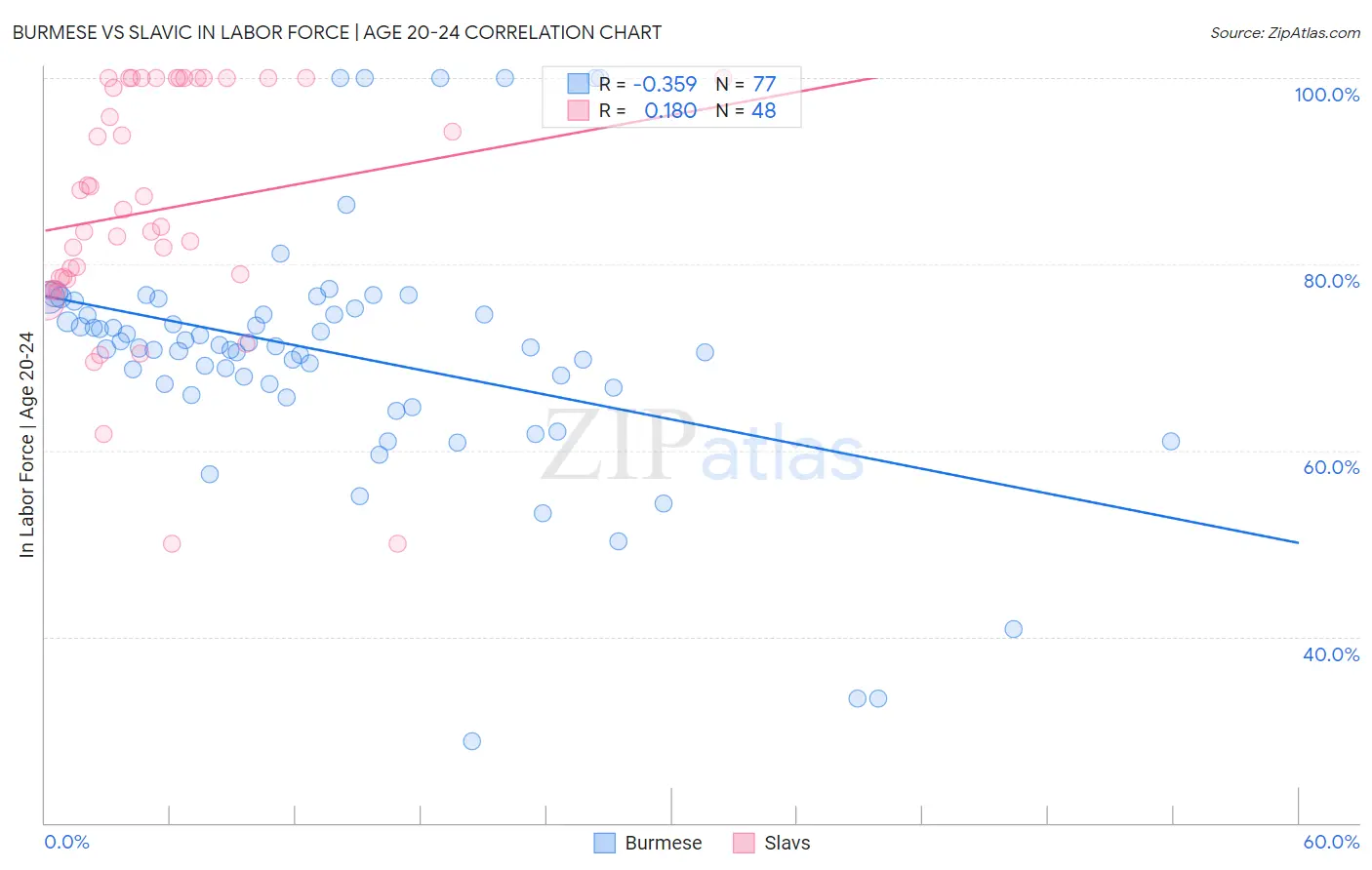 Burmese vs Slavic In Labor Force | Age 20-24