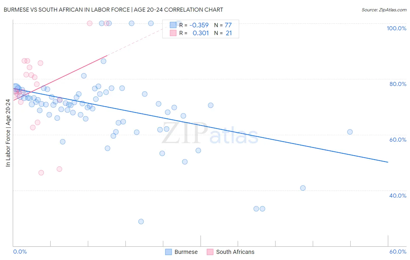Burmese vs South African In Labor Force | Age 20-24