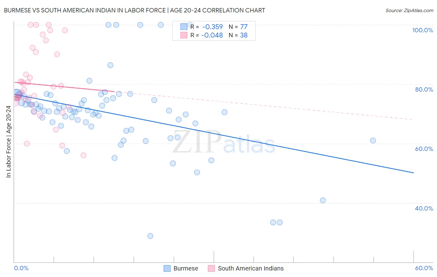 Burmese vs South American Indian In Labor Force | Age 20-24