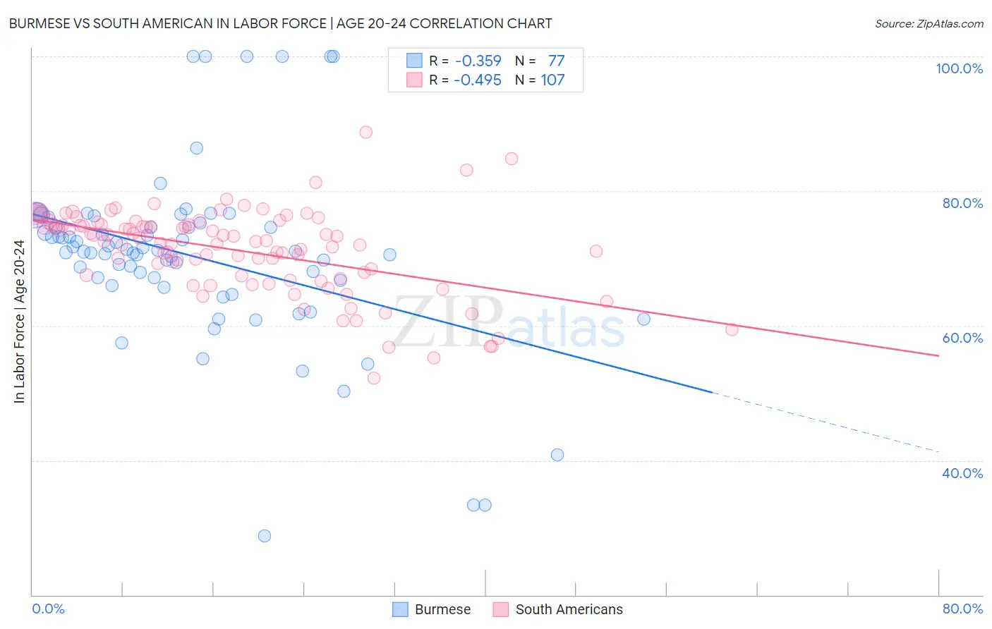 Burmese vs South American In Labor Force | Age 20-24