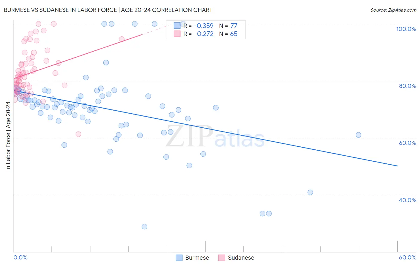 Burmese vs Sudanese In Labor Force | Age 20-24