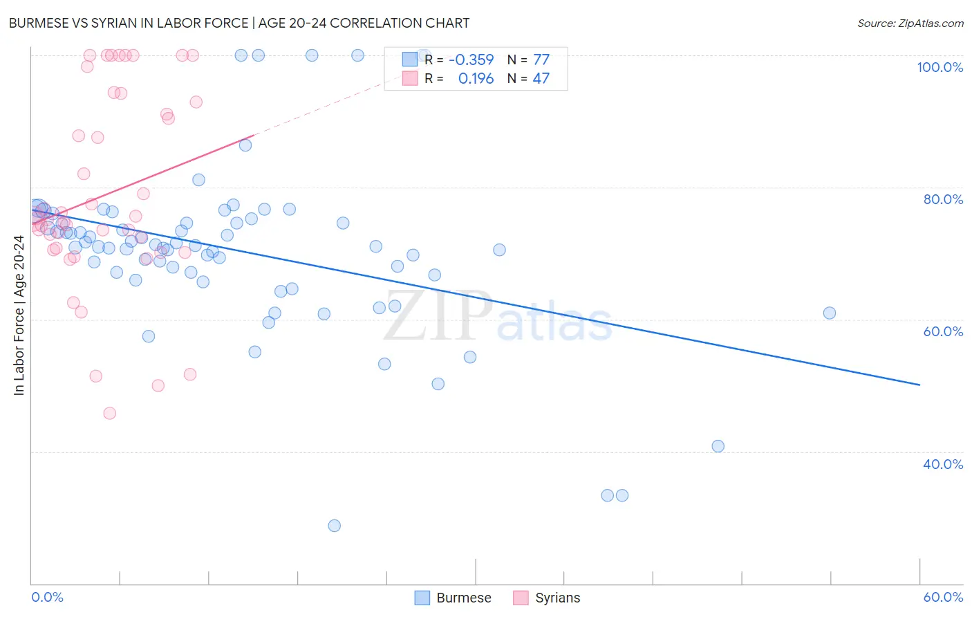 Burmese vs Syrian In Labor Force | Age 20-24