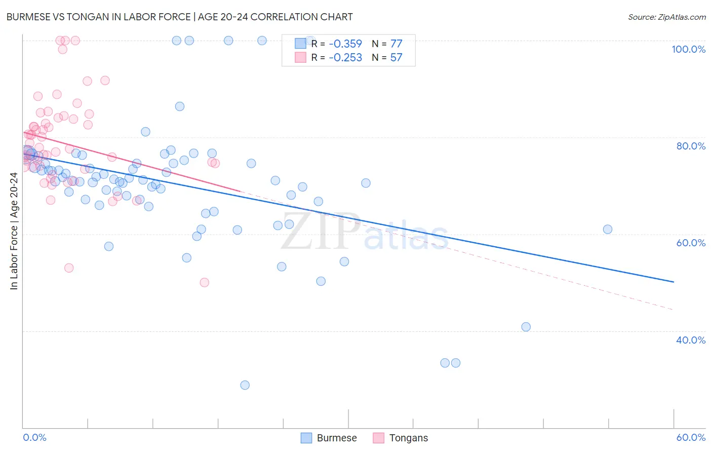 Burmese vs Tongan In Labor Force | Age 20-24