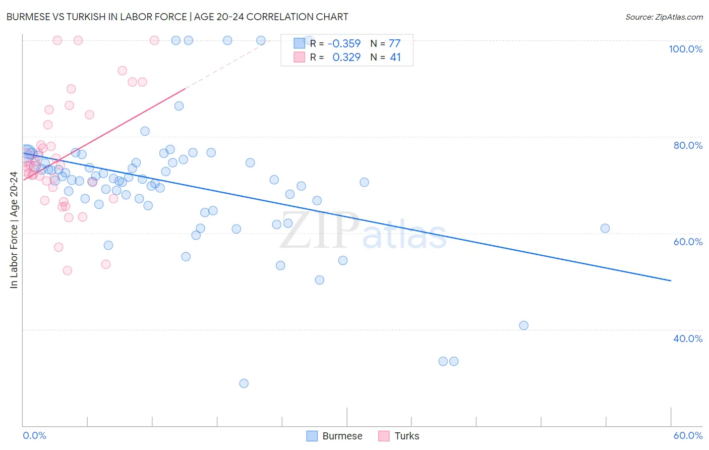 Burmese vs Turkish In Labor Force | Age 20-24