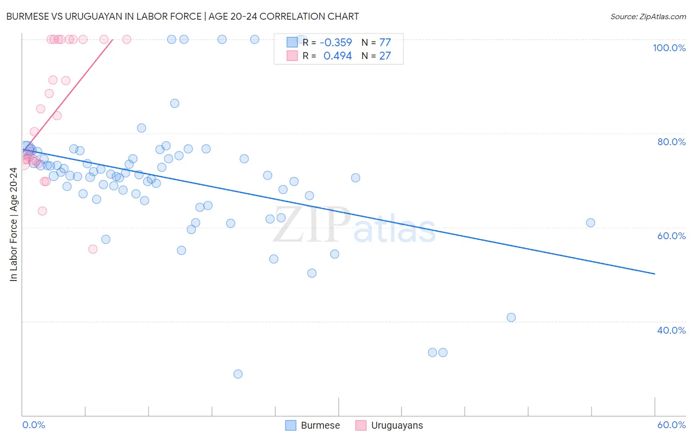 Burmese vs Uruguayan In Labor Force | Age 20-24