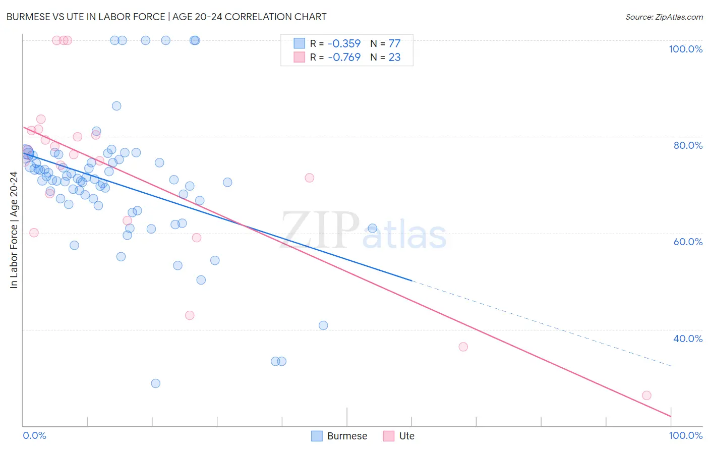 Burmese vs Ute In Labor Force | Age 20-24