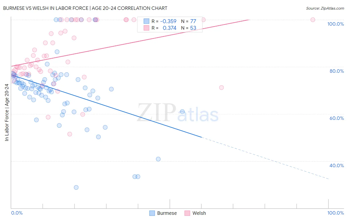 Burmese vs Welsh In Labor Force | Age 20-24