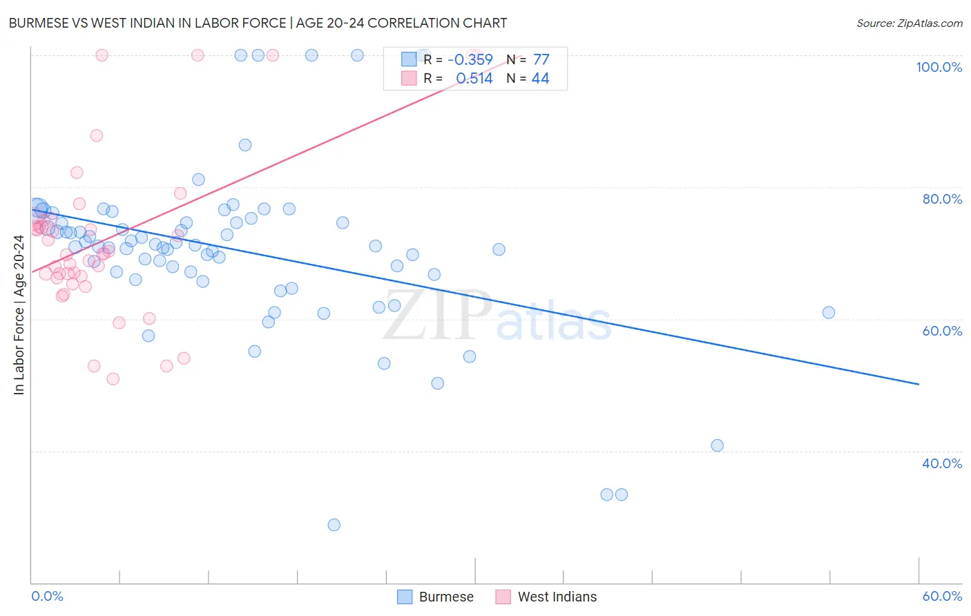Burmese vs West Indian In Labor Force | Age 20-24