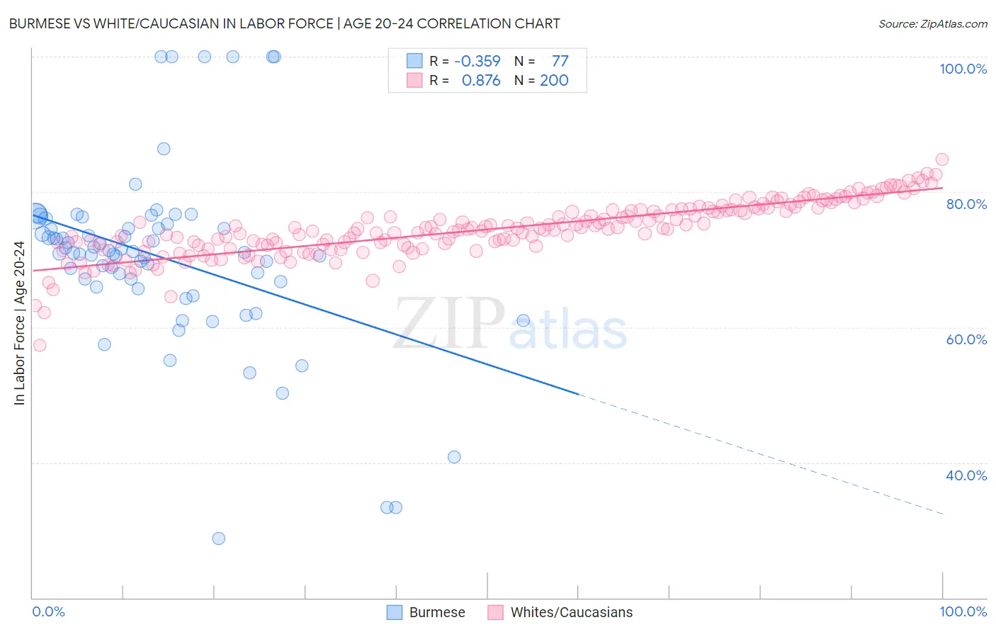 Burmese vs White/Caucasian In Labor Force | Age 20-24