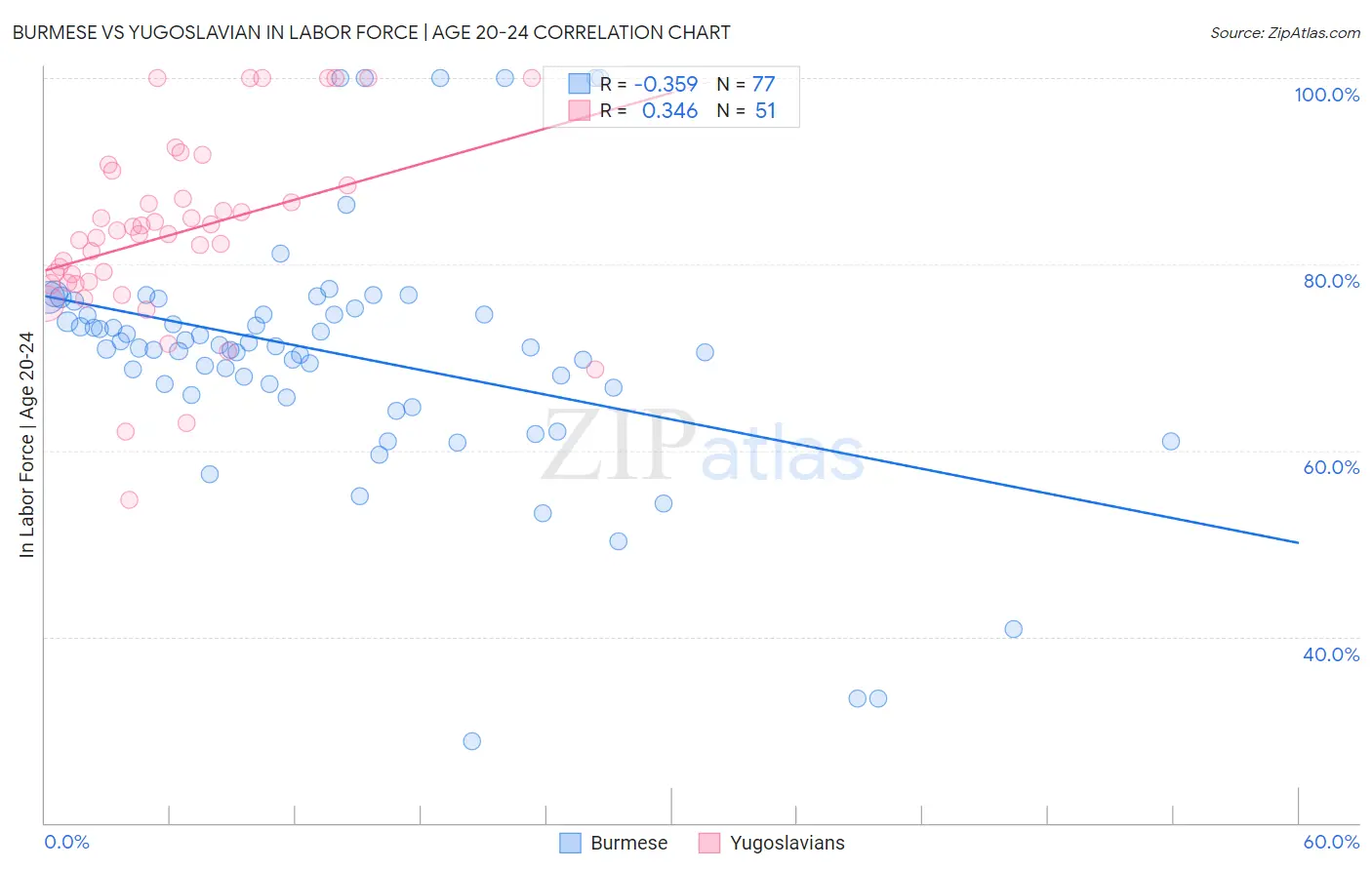 Burmese vs Yugoslavian In Labor Force | Age 20-24