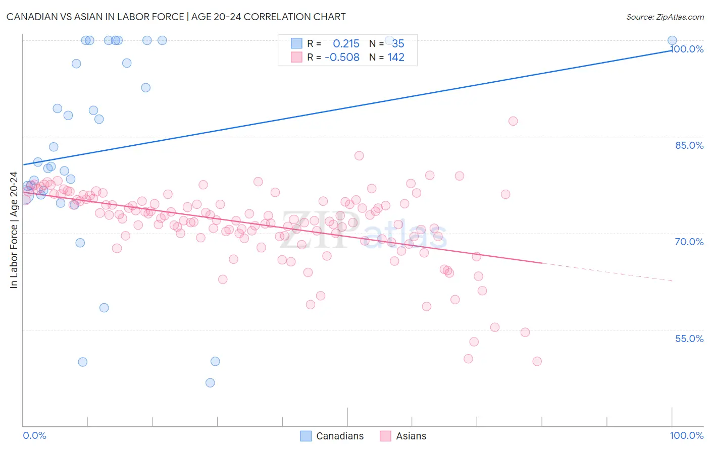 Canadian vs Asian In Labor Force | Age 20-24