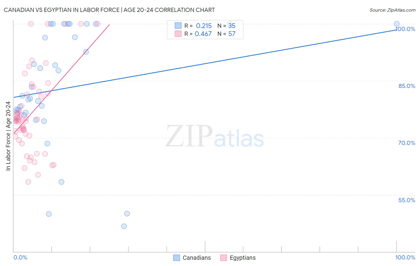 Canadian vs Egyptian In Labor Force | Age 20-24